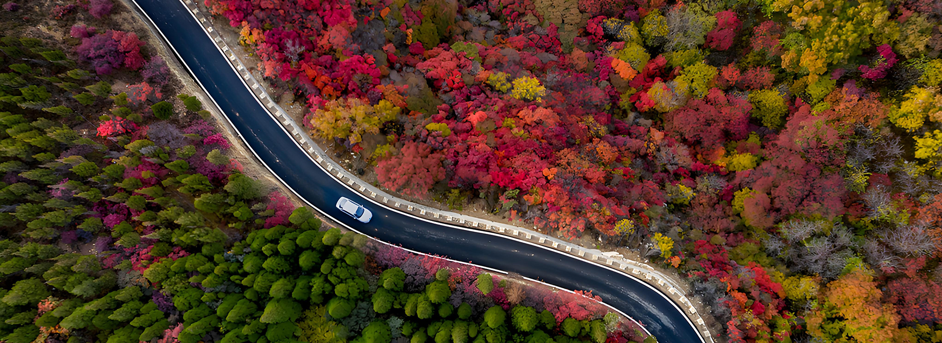 智筑低空经济新生态